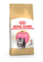 A pet food package of Royal Canin Persian Kitten dry cat food near pakistan with an image of a Persian kitten on the front.
